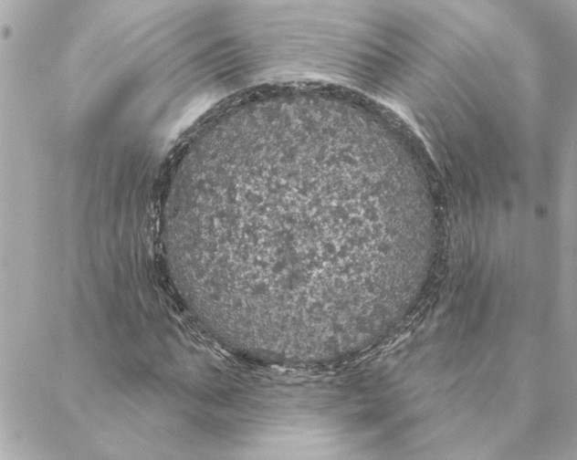 X0000088180871200706051139