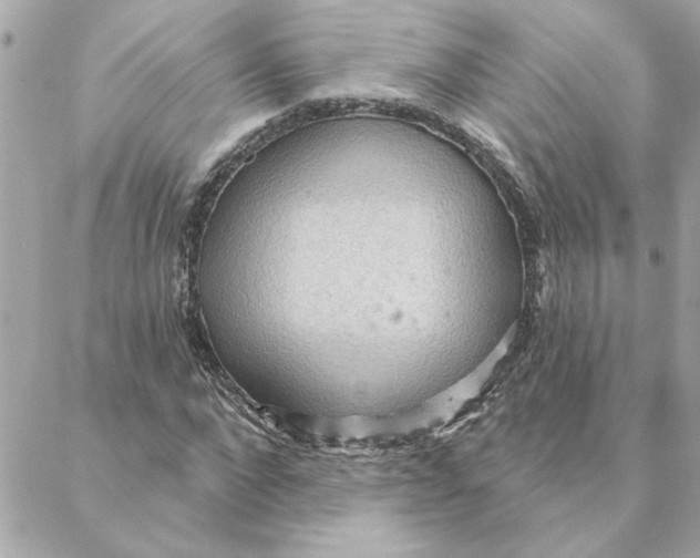 X0000088180872200706051139