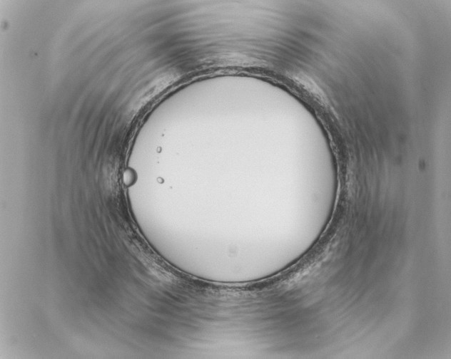 X0000088180873200706051139