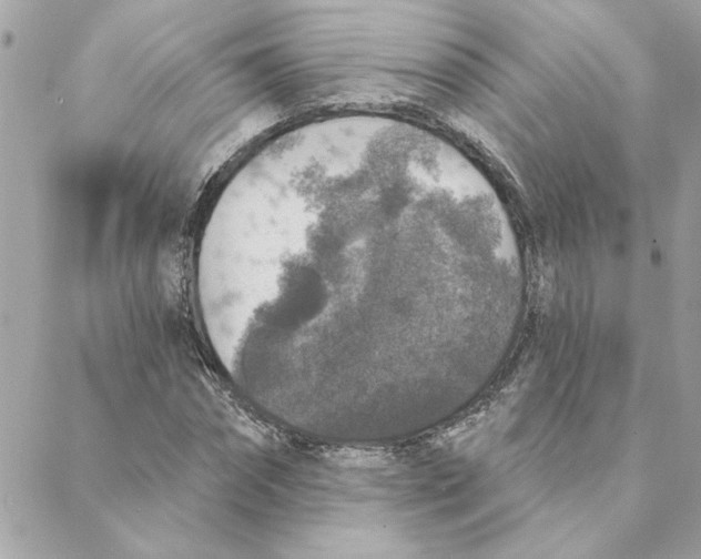 X0000088180874200706051139