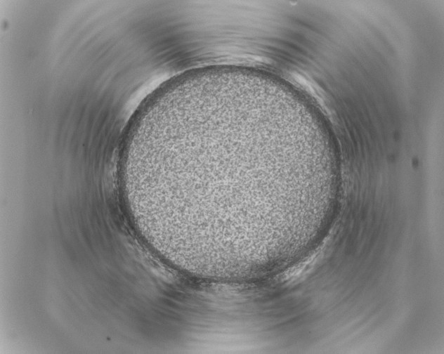 X0000088180875200706051139