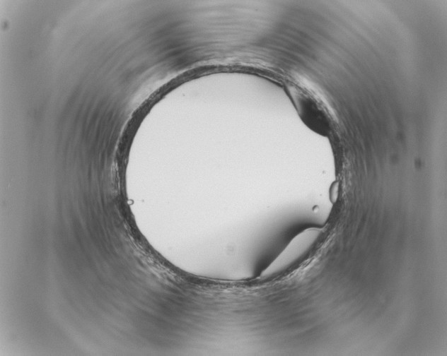 X0000088180876200706051139