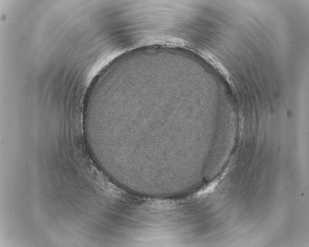 X0000088180877200706051139