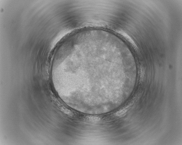 X0000088180878200706051139