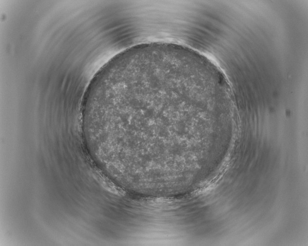 X0000088180879200706051139