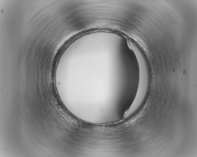 X0000088180880200706051139