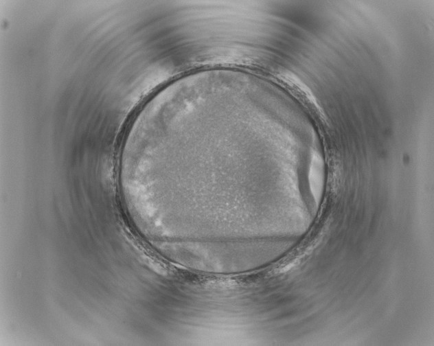 X0000088180882200706051139