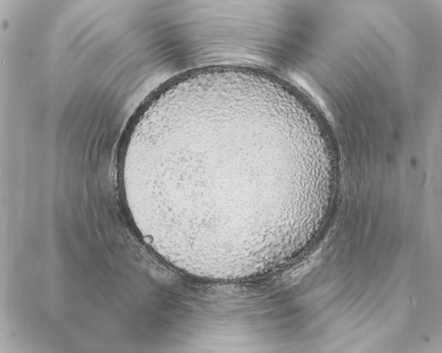 X0000088180883200706051139