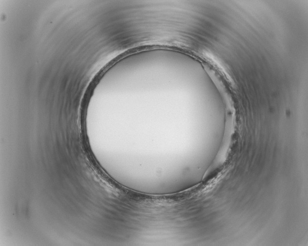 X0000088180884200706051139