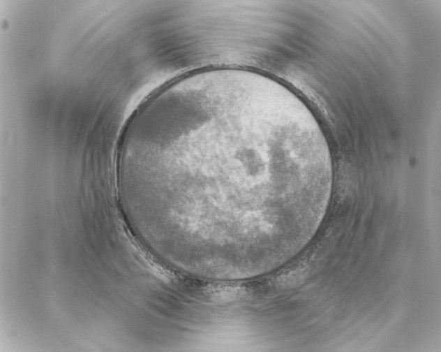 X0000088180886200706051139