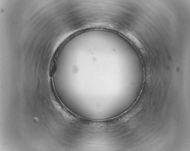 X0000088180888200706051139