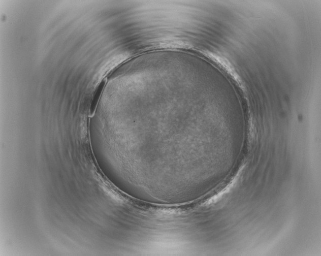 X0000088180889200706051139