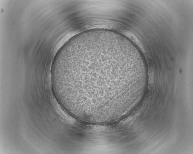 X0000088180890200706051139