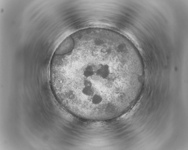 X0000088180891200706051139