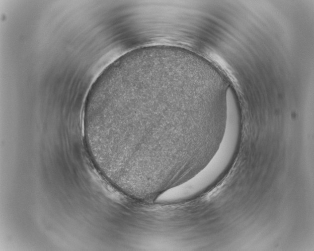 X0000088180892200706051139