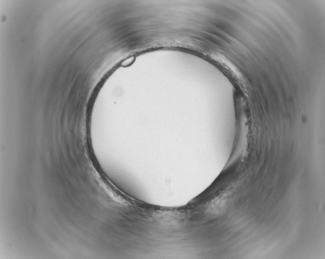 X0000088180894200706051139