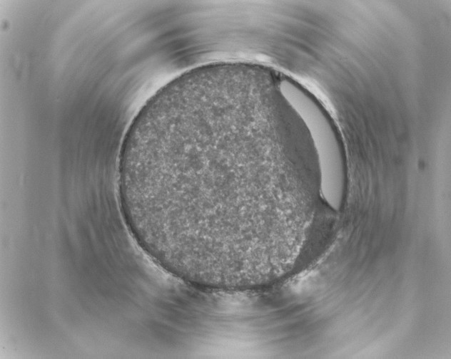 X0000088180895200706051139