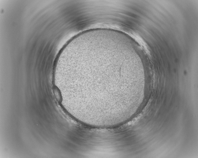 X0000088180896200706051139