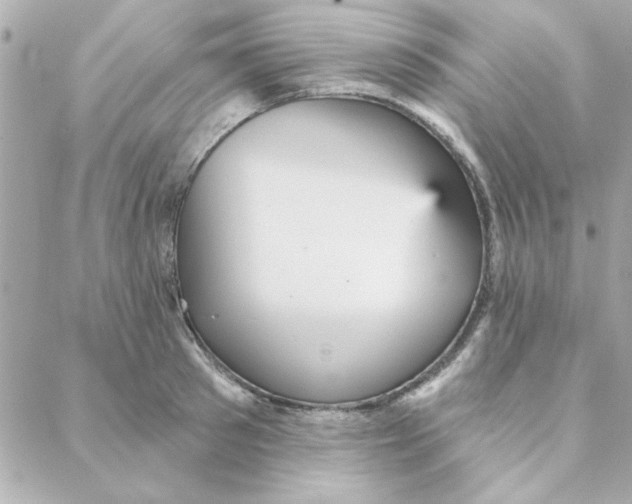 X0000088180897200706051139