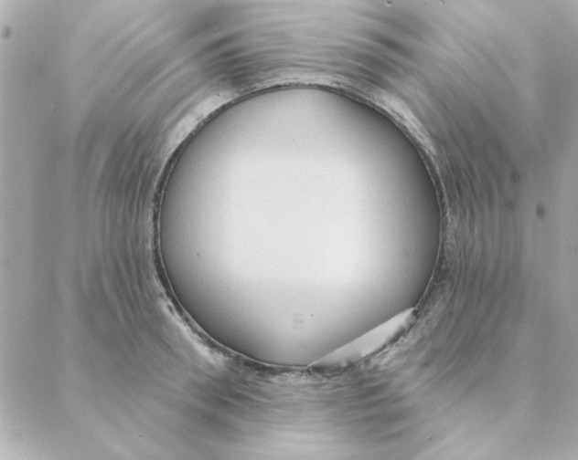 X0000088180898200706051139