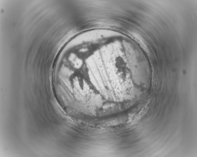 X0000088180899200706051139