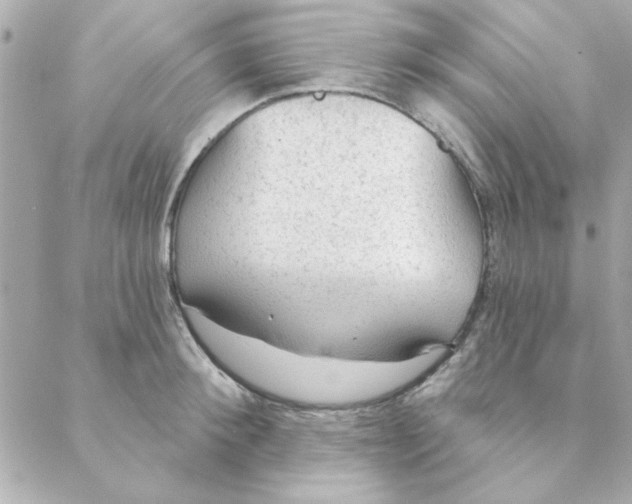 X0000088180900200706051138