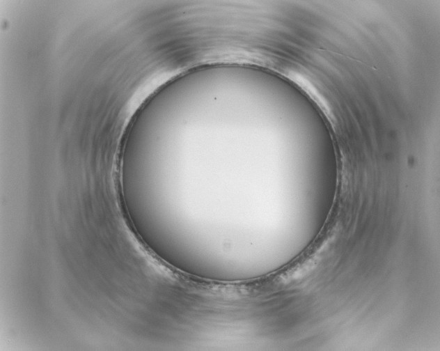 X0000088180901200706051138