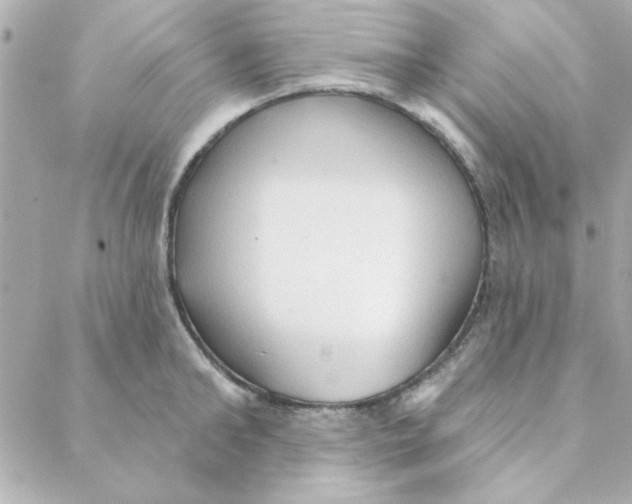 X0000088180902200706051138