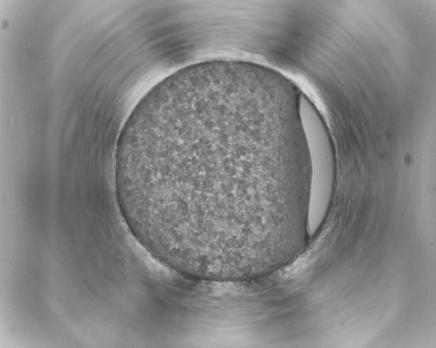 X0000088180903200706051138