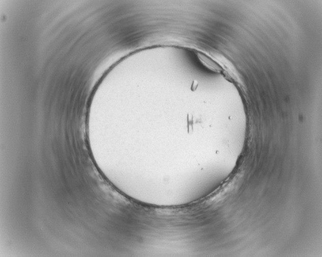 X0000088180904200706051138