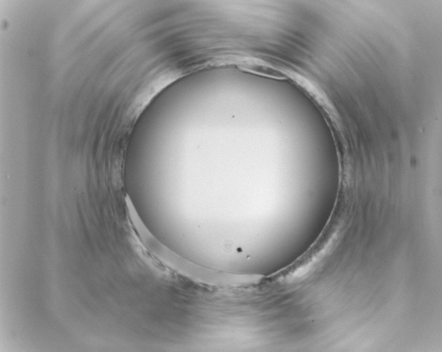 X0000088180905200706051138