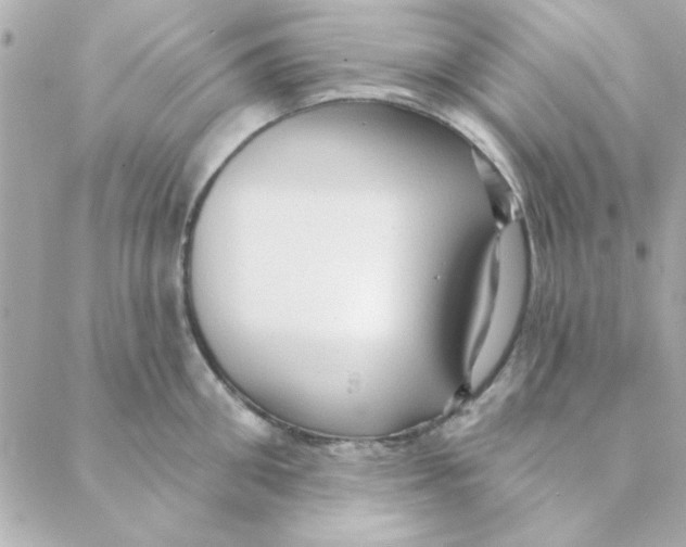 X0000088180906200706051138