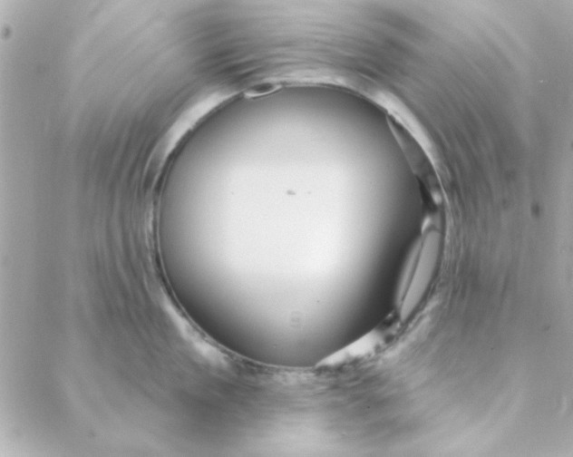 X0000088180909200706051138