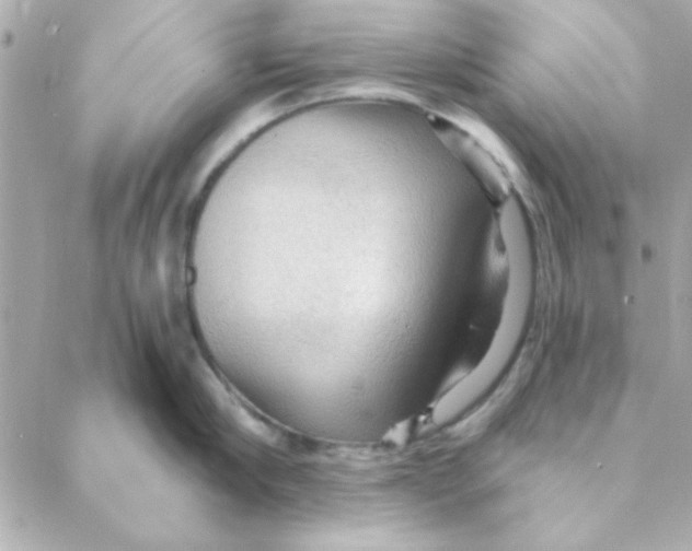 X0000088180910200706051138