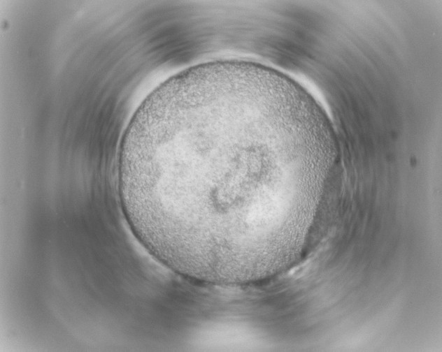 X0000088180911200706051138