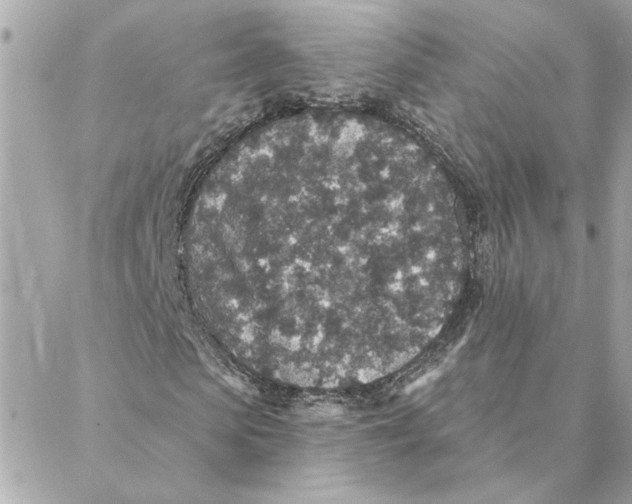 X0000088180913200706051138