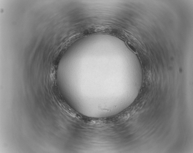 X0000088180914200706051138