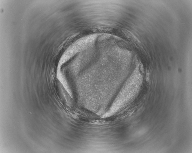 X0000088180915200706051138