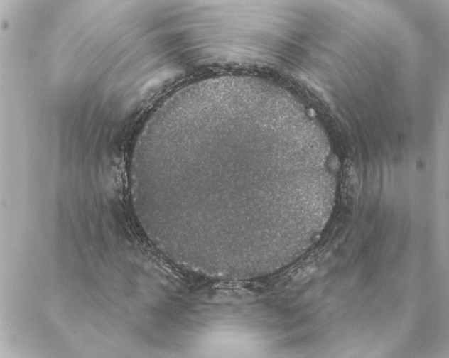 X0000088180918200706051138