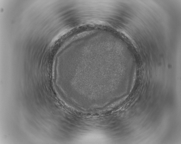 X0000088180919200706051138