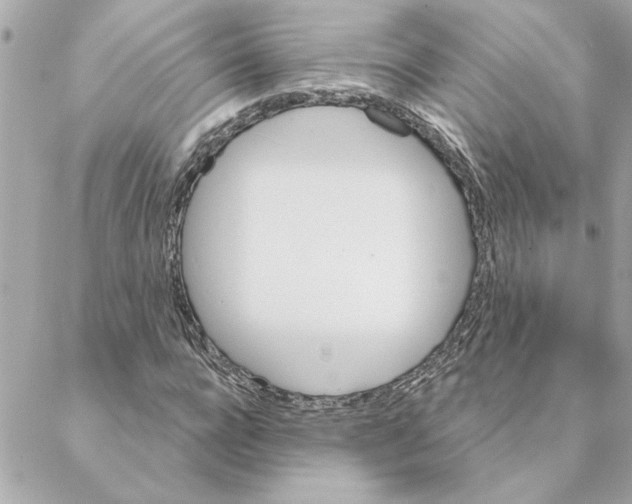 X0000088180920200706051138