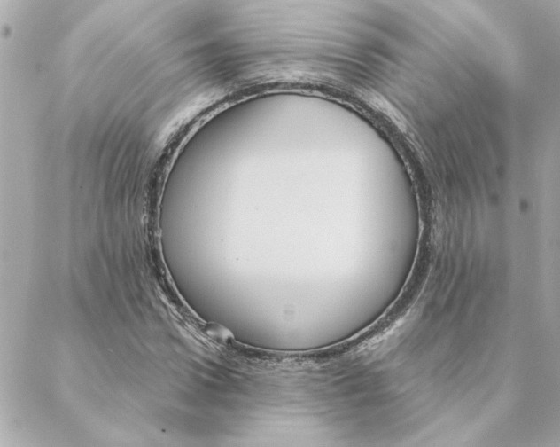 X0000088180922200706051138