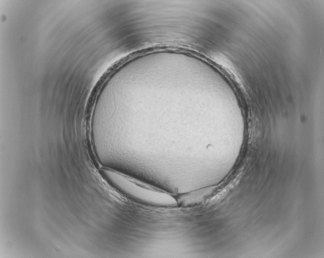 X0000088180924200706051138