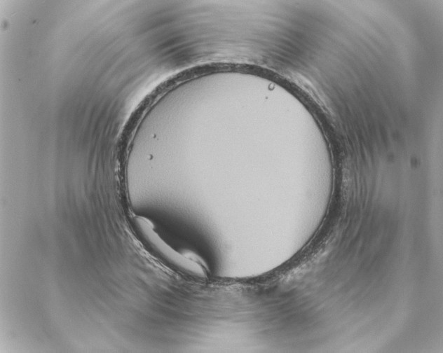 X0000088180926200706051138