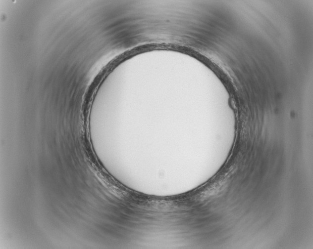 X0000088180927200706051138