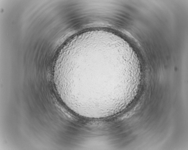 X0000088180929200706051138