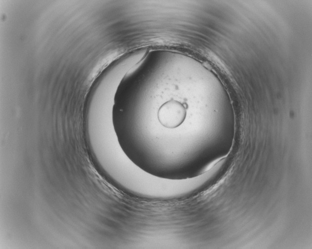 X0000088180930200706051138