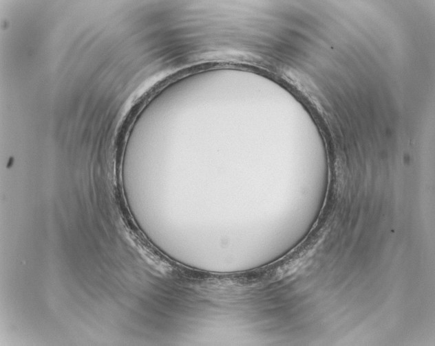 X0000088180931200706051138