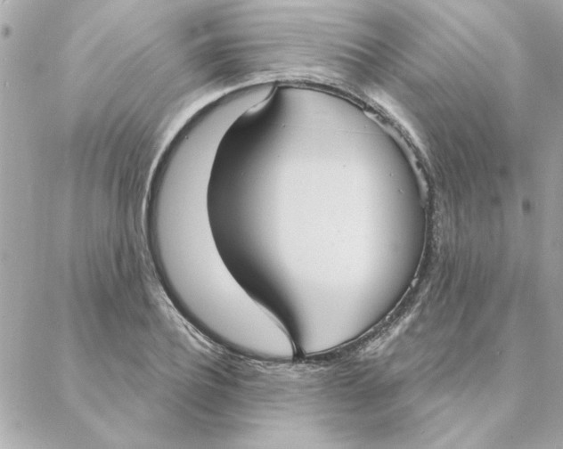 X0000088180932200706051138