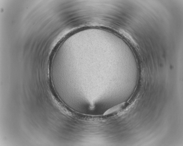 X0000088180934200706051138